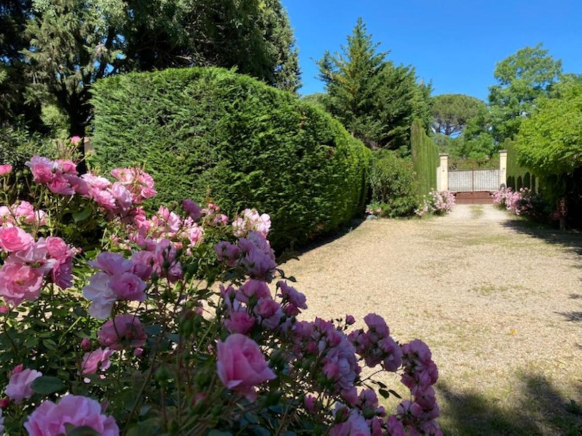 Mas La Pauline Gites De Charme & Roulotte Saint-Remy-de-Provence Bagian luar foto